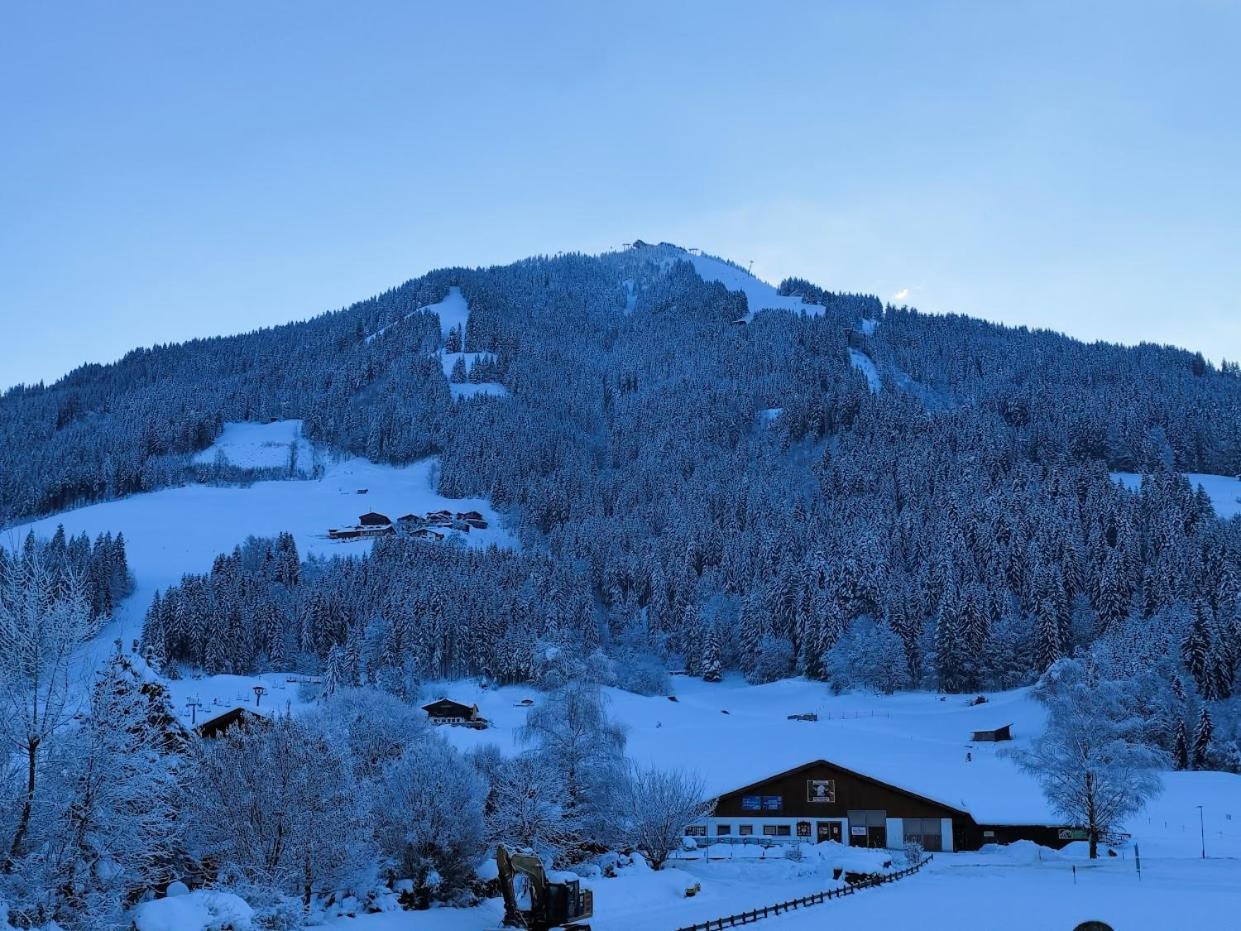 Hotel Alpenhof وستندورف المظهر الخارجي الصورة
