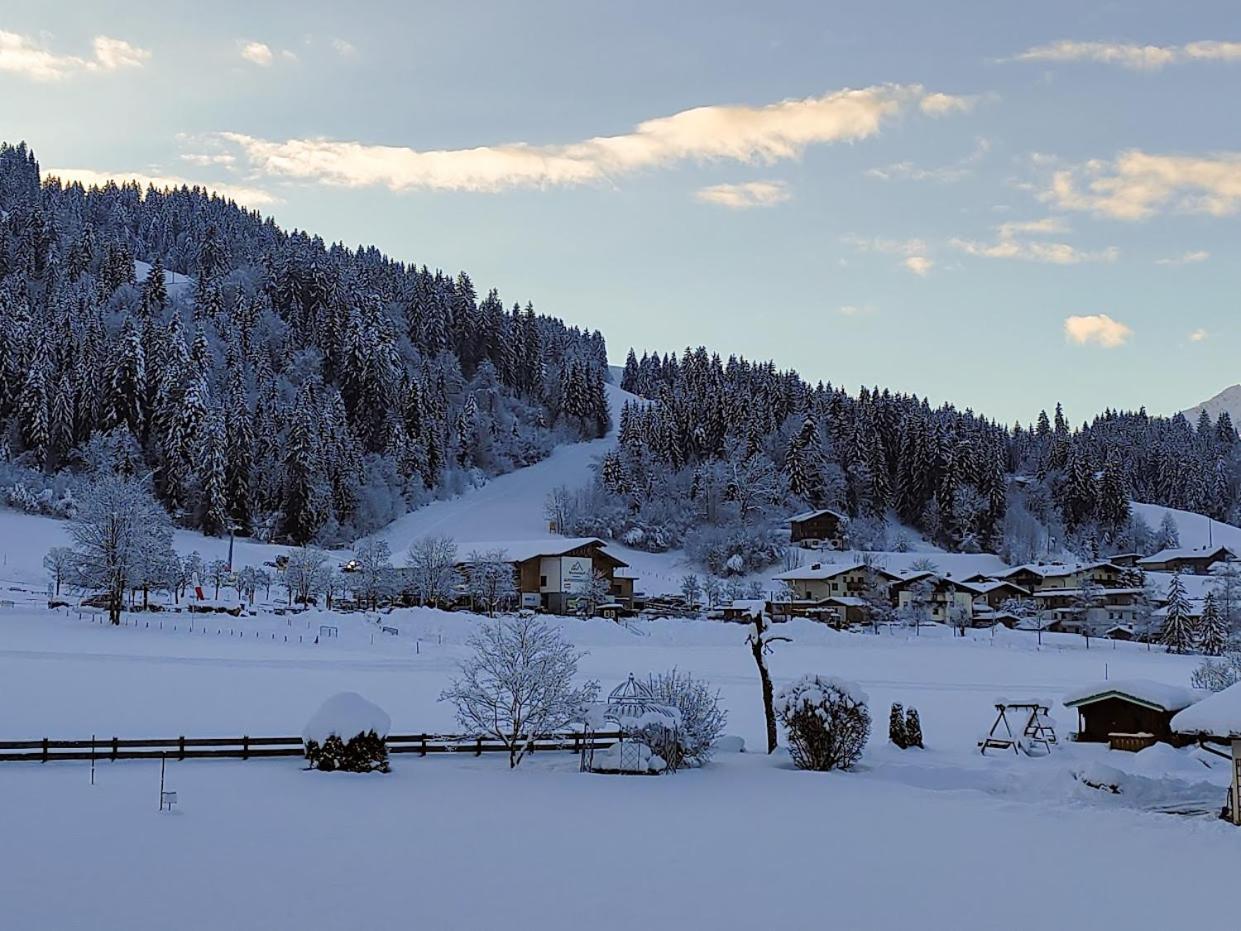 Hotel Alpenhof وستندورف المظهر الخارجي الصورة